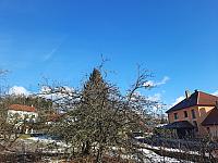 Olešná