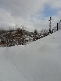 Skalité