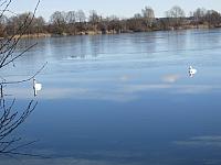Neratovice