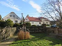 Třibřichy