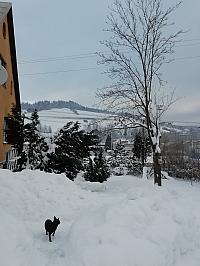 Skalité
