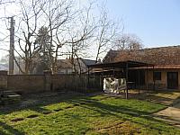 Třibřichy