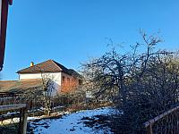 Olešná