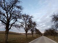 Lukovany