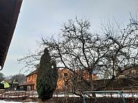Olešná