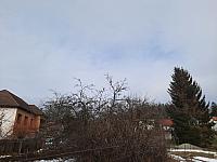 Olešná