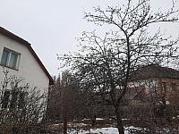 Olešná