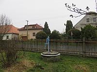 Třibřichy