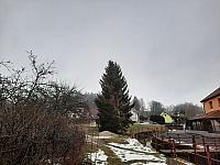 Olešná