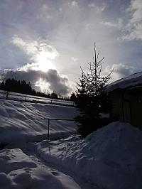 Skalité