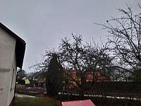 Olešná