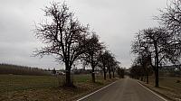 Lukovany