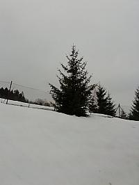 Skalité