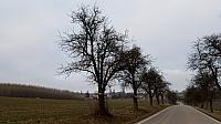 Lukovany