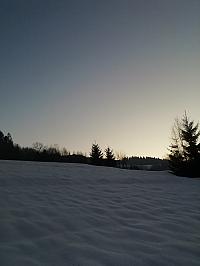 Skalité