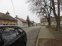 Třibřichy