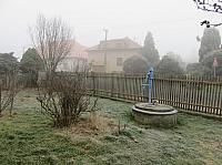 Třibřichy