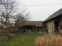 Třibřichy