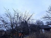 Olešná