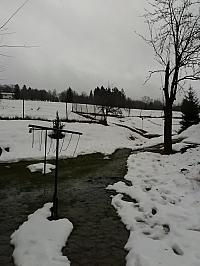 Skalité
