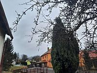 Olešná
