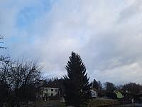 Olešná
