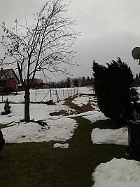 Skalité