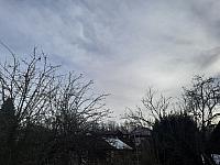 Olešná