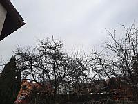 Olešná
