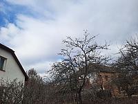 Olešná