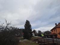 Olešná