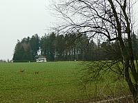 Němčice Zhoř