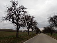 Lukovany