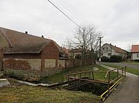 Třibřichy