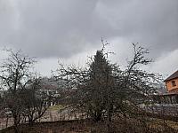 Olešná