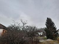 Olešná