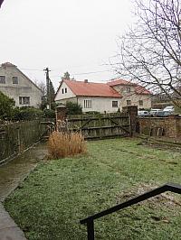 Třibřichy