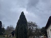 Olešná