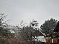 Olešná
