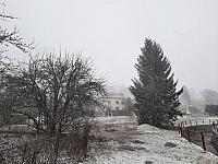 Olešná