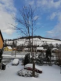Skalité