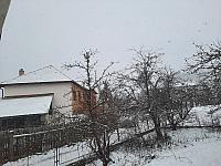 Olešná