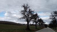 Lukovany