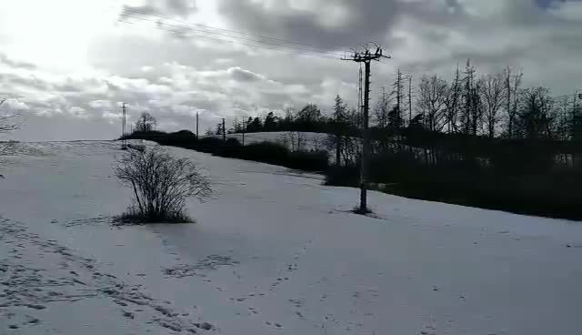 Třebíč-Borovina