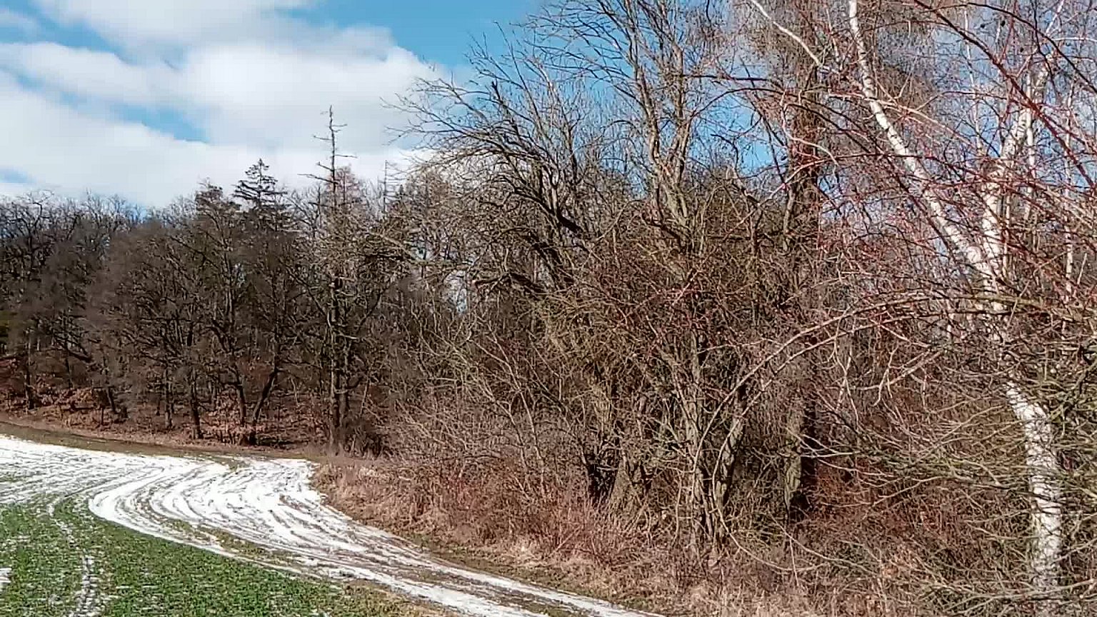 Lukovany