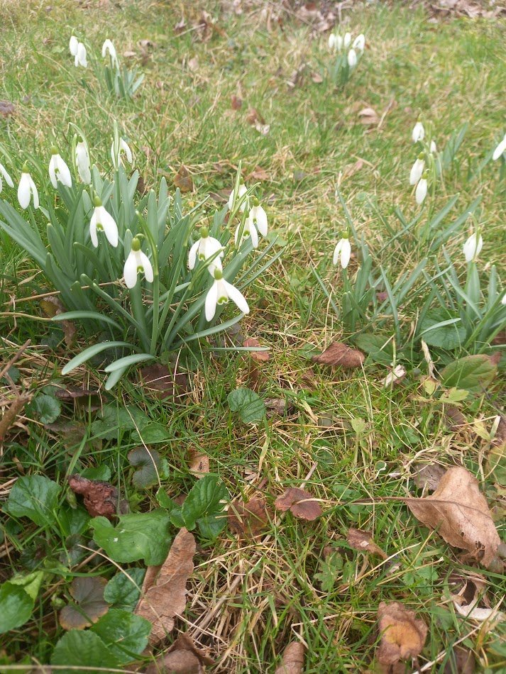 Svatý Mikuláš