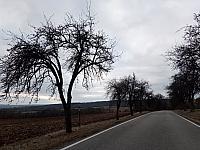 Lukovany