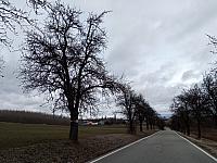 Lukovany