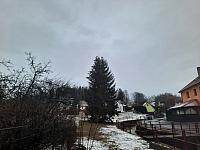 Olešná