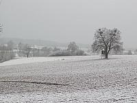 Němčice Zhoř